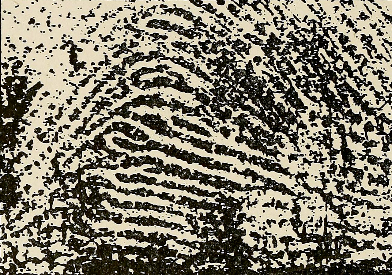 Fingerprint from the cash box