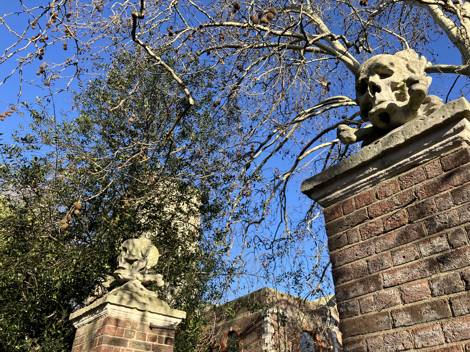 Skulls of St Nicholas church