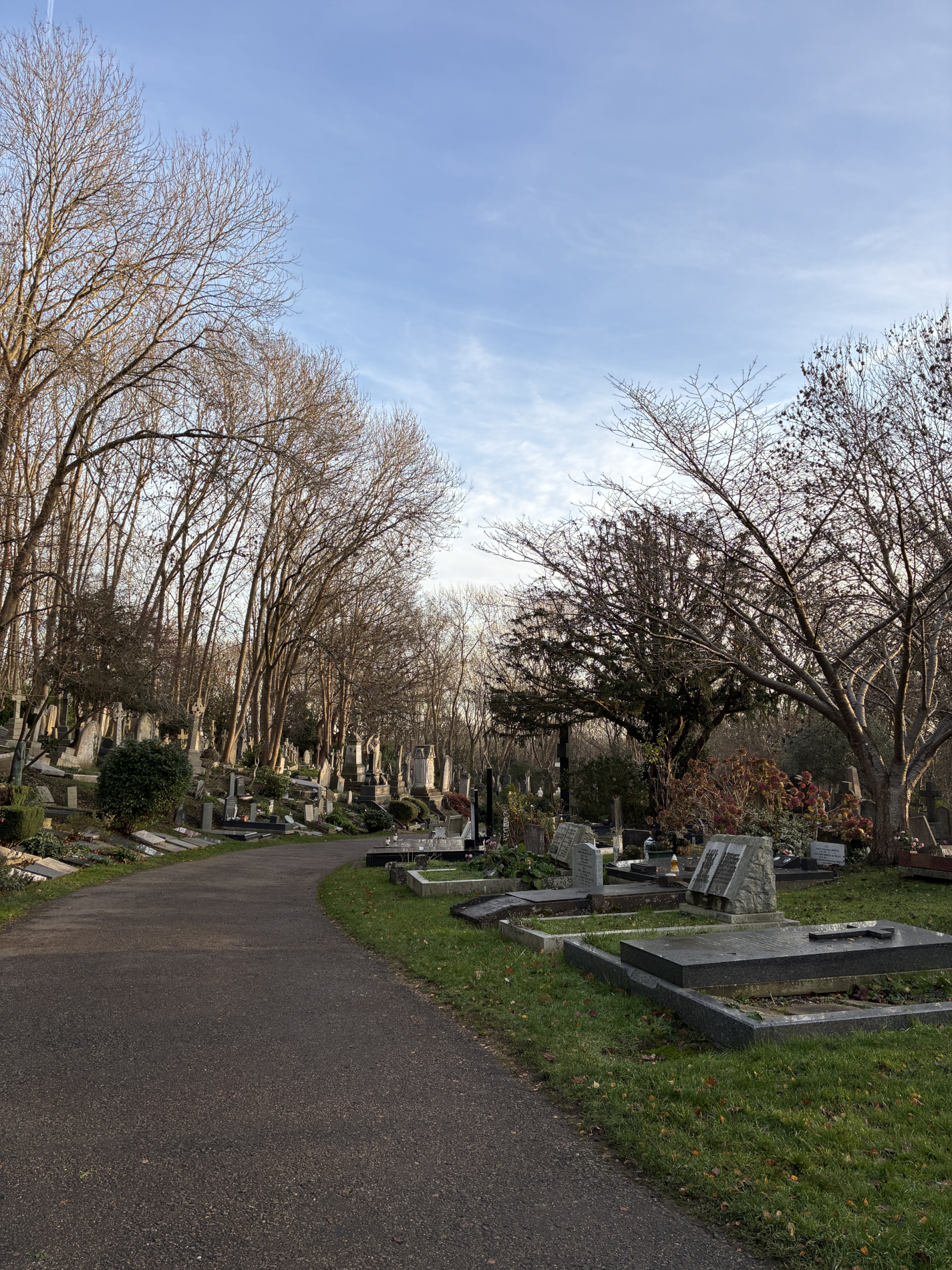 A pathway past graves and trees at Highgate Cemetery